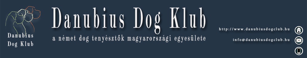 header blue