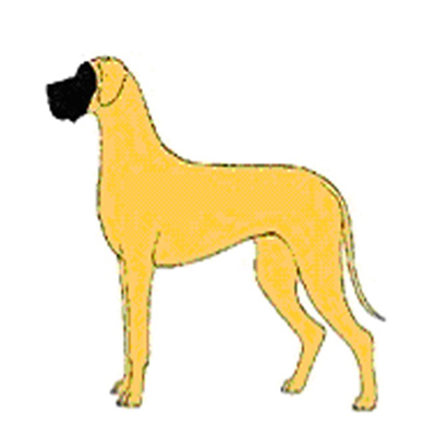 sérga dog