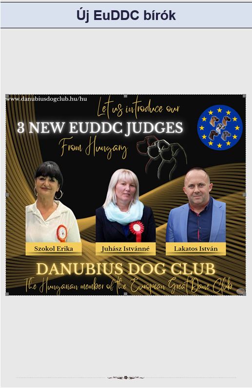EuDDC bírók